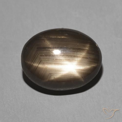 3.26ct 天然 黑色 星光蓝宝石, 椭圆形, 不透明