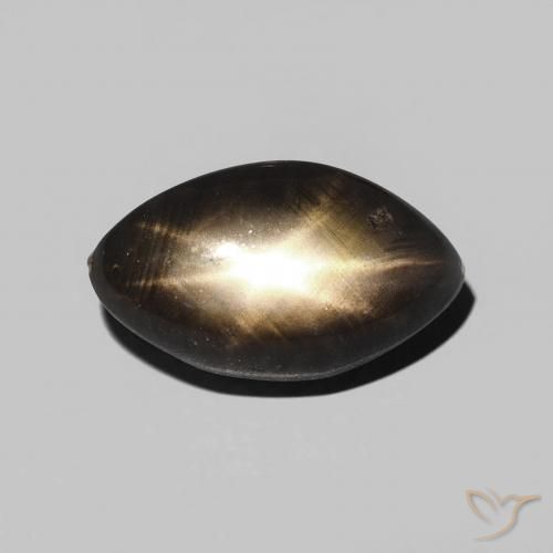 3.28ct 天然 黑色 星光蓝宝石, 榄尖形, 不透明
