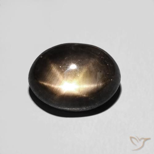 4.05ct 天然 黑色 星光蓝宝石, 椭圆形, 不透明