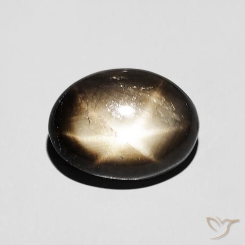 4.49ct 天然 黑色 星光蓝宝石, 椭圆形, 不透明