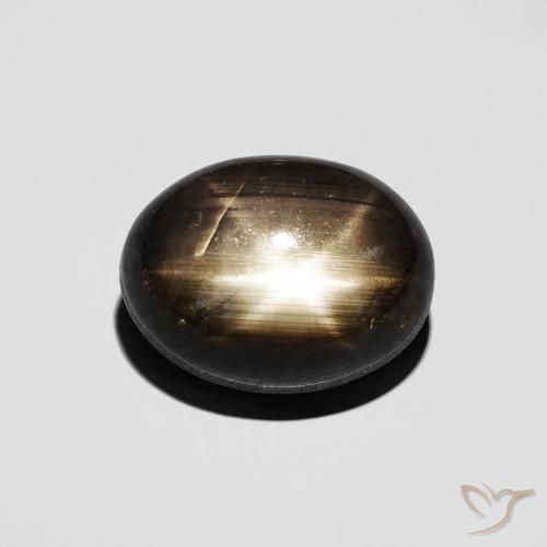 4.30ct 天然 黑色 星光蓝宝石, 椭圆形, 不透明