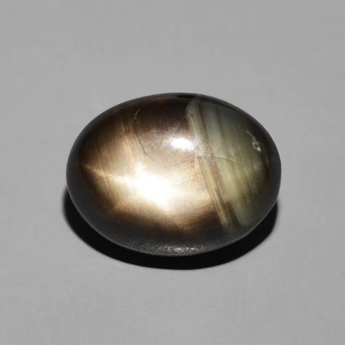 5.17ct 天然 黑色 星光蓝宝石, 椭圆形, 不透明