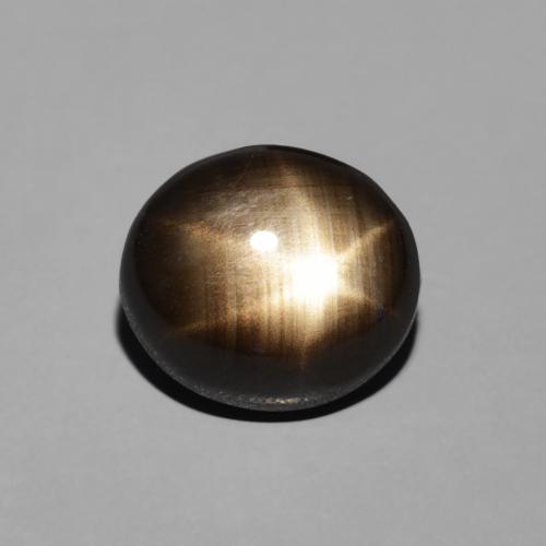 2.74ct 天然 黑色 星光蓝宝石, 椭圆形, 不透明