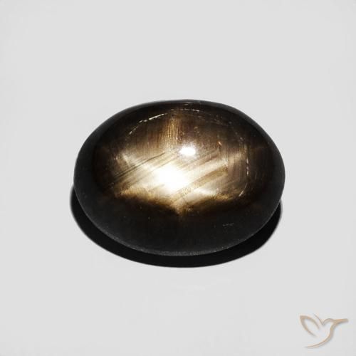 3.16ct 天然 黑色 星光蓝宝石, 椭圆形, 不透明