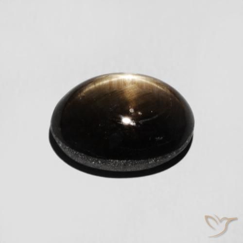 3.16克拉天然星光蓝宝石，椭圆形，不透明