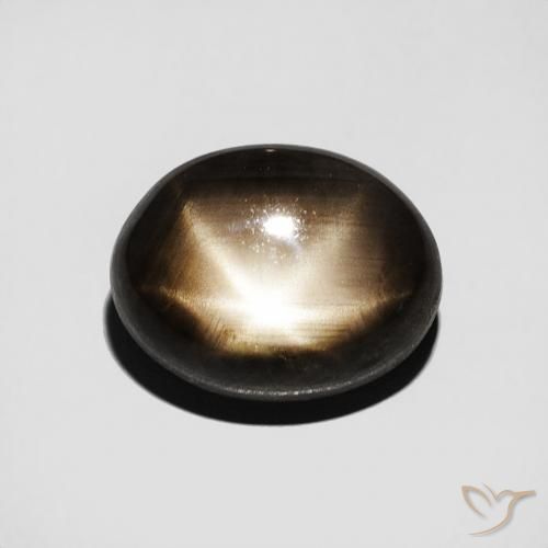 3.50ct 天然 黑色 星光蓝宝石, 椭圆形, 不透明