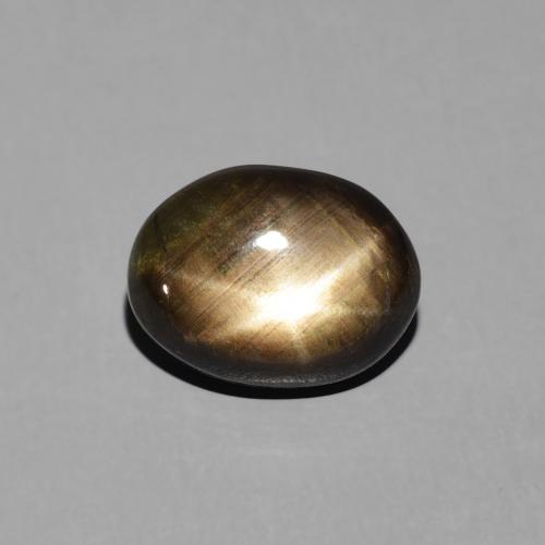 3.19ct 天然 黑色 星光蓝宝石, 椭圆形, 不透明