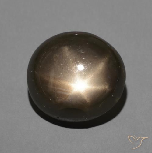3.64ct 天然 黑色 星光蓝宝石, 椭圆形, 不透明
