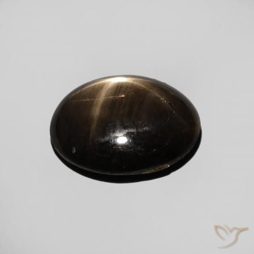 3.44克拉天然星光蓝宝石，椭圆形，不透明