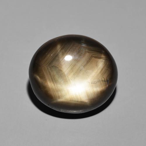 19.55ct 天然 黑色 星光蓝宝石, 椭圆形, 不透明