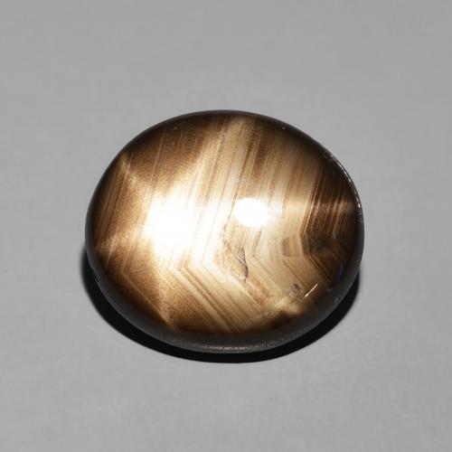 11.35ct 天然 黑色 星光蓝宝石, 椭圆形, 不透明