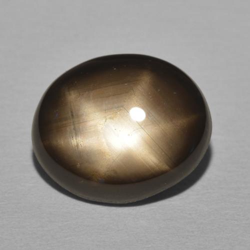 11.05ct 天然 黑色 星光蓝宝石, 椭圆形, 不透明