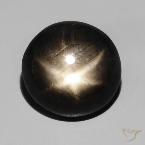 15.48ct 天然 黑色 星光蓝宝石, 椭圆形, 不透明