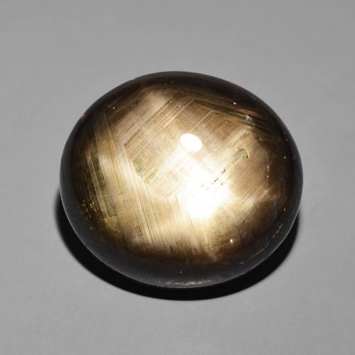 41.19ct 天然 黑色 星光蓝宝石, 椭圆形, 不透明