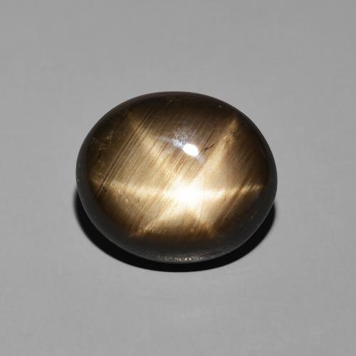 10.08ct 天然 黑色 星光蓝宝石, 椭圆形, 不透明