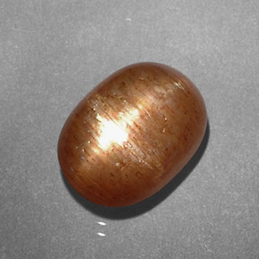 2.81克拉天然棕色星光日光石，椭圆形切割，9.6×5.4毫米，不透明