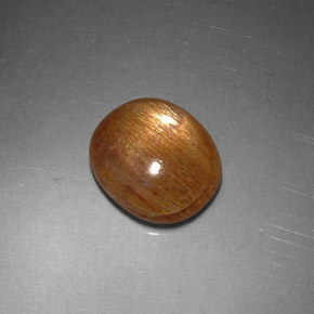 1.62克拉天然棕色星光日光石，椭圆形切割，8.6×7.5毫米，不透明