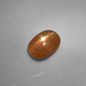 1.48克拉天然棕色星光日光石，椭圆形切割，9.4×6.7毫米，不透明