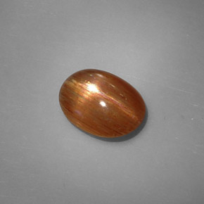1.64克拉天然棕色星光日光石，椭圆形切割，9.8×7.3毫米，不透明