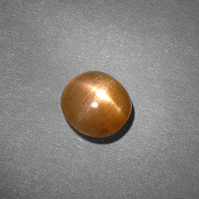 0.91克拉天然棕色星光日光石，椭圆形切割，6.4×6毫米，不透明