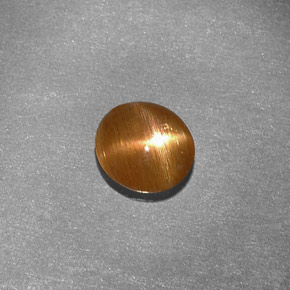 0.79克拉天然棕色星光日光石，椭圆形切割，6.9×6.4毫米，不透明