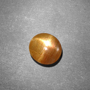 0.99克拉天然棕色星光日光石，椭圆形切割，7.3×6.7毫米，不透明