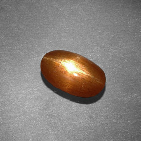 1.53克拉天然棕色星光日光石，椭圆形切割，9.3×5.8毫米，不透明