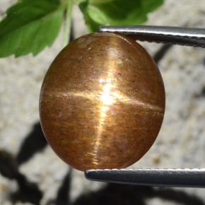 12.64克拉天然棕色星光日光石，椭圆形切割，15×13.1毫米，不透明