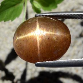 12.64克拉天然棕色星光日光石，椭圆形切割，15×13.1毫米，不透明