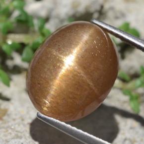 10.14克拉天然棕色星光日光石，椭圆形切割，14.3×11.4毫米，不透明