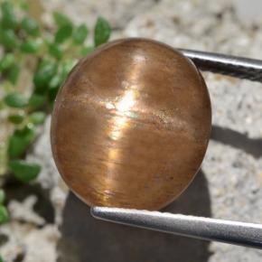 9.50克拉天然棕色星光日光石，椭圆形切割，13.9×12毫米，不透明