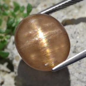 9.50克拉天然棕色星光日光石，椭圆形切割，13.9×12毫米，不透明