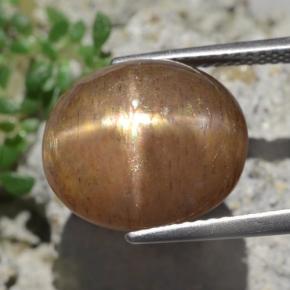 9.50克拉天然棕色星光日光石，椭圆形切割，13.9×12毫米，不透明