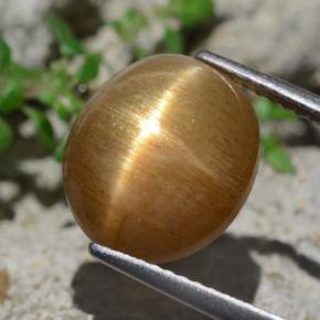 6.94克拉天然棕色星光日光石，椭圆形切割，12×10.4毫米，不透明