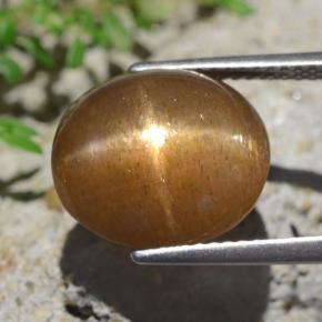 9.02克拉天然星日光石，椭圆形切割，不透明