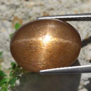 13.59克拉天然星日光石，椭圆形切割，不透明