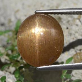 6.20克拉天然星光日光石，椭圆形切割，不透明