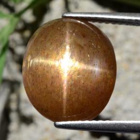 9.24克拉天然棕色星光日光石，椭圆形切割，14×11.8毫米，不透明