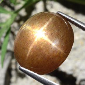 9.24克拉天然棕色星光日光石，椭圆形切割，14×11.8毫米，不透明