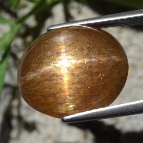 9.24克拉天然棕色星光日光石，椭圆形切割，14×11.8毫米，不透明