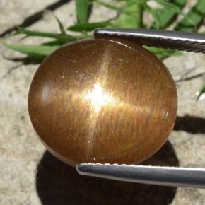 12.58克拉天然星日光石，椭圆形切割，不透明