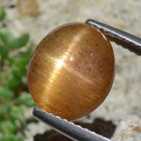 4.53克拉天然星日光石，椭圆形切割，不透明