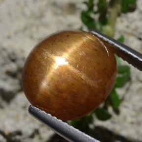 8.30克拉天然星日光石，椭圆形切割，不透明