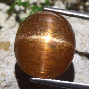 9.36克拉天然棕色星光日光石，椭圆形切割，13.7×12.1毫米，不透明