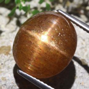 9.36克拉天然棕色星光日光石，椭圆形切割，13.7×12.1毫米，不透明