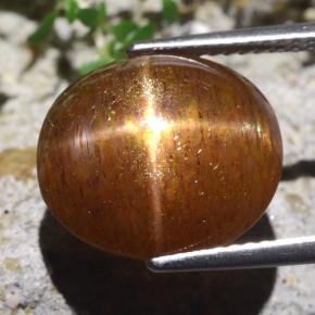 9.36克拉天然棕色星光日光石，椭圆形切割，13.7×12.1毫米，不透明