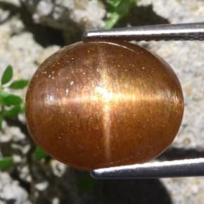 9.51克拉天然星日光石，椭圆形切割，不透明