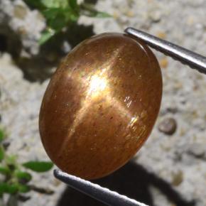 6.29克拉天然棕色星光日光石，椭圆形切割，13.4×9.6毫米，不透明