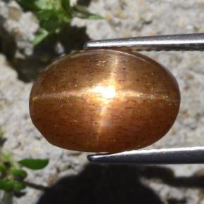 6.29克拉天然棕色星光日光石，椭圆形切割，13.4×9.6毫米，不透明