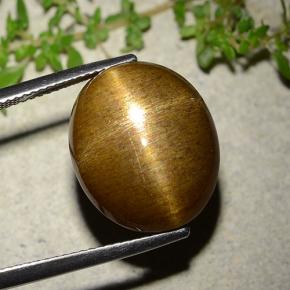 16.93克拉天然星光日光石，椭圆形切割，不透明